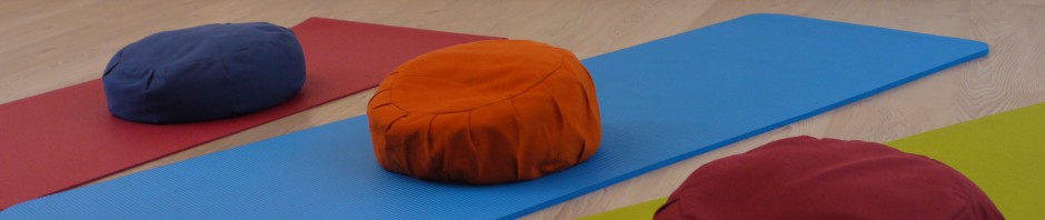 Thérapies cognitives basées sur la pleine conscience et la méditation